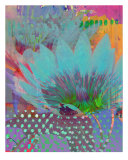 Abstract Water Lily Impressão fotográfica por Francisco Valente Abstract Water Lily Impressão fotográfica por Francisco Valente