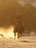 Cowboy Galloping While Swinging a Rope Lassoo at Sunset, Flitner Ranch, Shell, Wyoming, USA Posters by Carol Walker