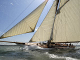 Mariquita under Sail, Solent Race, British Classic Yacht Club Regatta, Cowes Classic Week, 2008 Reprodukcja zdjęcia autor Rick Tomlinson