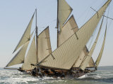 Mariquita under Sail, Solent Race, British Classic Yacht Club Regatta, Cowes Classic Week, 2008 Photographic Print by Rick Tomlinson