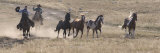 Two Cowboys Herding Horses, Flitner Ranch, Shell, Wyoming, USA Posters by Carol Walker