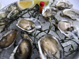 Hog Island Oysters on a Plate with Lemon, San Francisco, California Photographic Print by Sandra Cannon