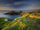 Footpath Along the Rumps, Pentire Point, Near Polzeath, Cornwall, UK Prints by Ross Hoddinott