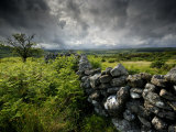 Dark Storm Clouds Above Stone Wall Near Combestone Tor, Devon, Dartmoor Np, UK Prints by Ross Hoddinott