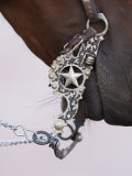 Fancy Silver Bit on Horse Bridle of Cowboy, Flitner Ranch, Shell, Wyoming, USA Posters par Carol Walker