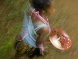 Woman Selling Fish at a Station for the Train Between Manakara and Fianarantsoa, Madagascar Kunstdrucke von Inaki Relanzon
