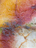 Close Up of Quartz, Scotland, UK Posters by Niall Benvie