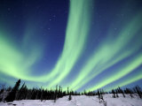 Northern Lights Northwest Territories, March 2008, Canada Posters par Eric Baccega