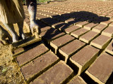 Woman Making Bricks with Mud for Traditional Building Construction, Sambava, North Madagascar Posters by Inaki Relanzon