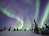 Northern Lights Northwest Territories, March 2008, Canada Print by Eric Baccega