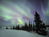 Northern Lights Northwest Territories, March 2008, Canada Posters par Eric Baccega