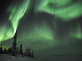 Northern Lights Northwest Territories, March 2008, Canada Posters par Eric Baccega