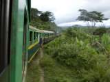 Train Travelling Betwen Manakara and Fianarantsoa, Madagascar Kunstdrucke von Inaki Relanzon