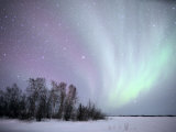 Northern Lights Northwest Territories, March 2008, Canada Posters by Eric Baccega Northern Lights Northwest Territories, March 2008, Canada Posters by Eric Baccega