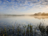 Lower Tamar Lake, North Devon Cornwall Border, UK Print by Ross Hoddinott