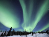 Northern Lights Northwest Territories, March 2008, Canada Posters par Eric Baccega