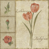 Delicate Flowers III Affiches par Lisa Audit