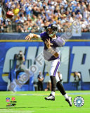 Joe Flacco 2009 Photo