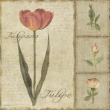 Delicate Flowers IV Posters par Lisa Audit