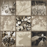 Mountain Retreat II Posters by Harold Silverman