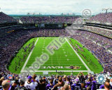 M&T Bank Stadium 2009 Photo