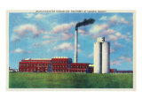Nampa, Idaho - Exterior View of the Amalgamated Sugar Company Factory, c.1945 Print
