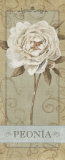 Pretty in Peony I Láminas por Lisa Audit Pretty in Peony I Láminas por Lisa Audit