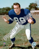 Gino Marchetti Photo