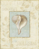 Soothing Words Shells IV Plakaty autor Lisa Audit Soothing Words Shells IV Plakaty autor Lisa Audit
