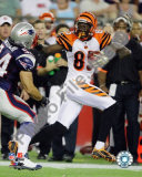 Chad Ochocinco Photo