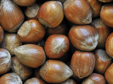 Hazelnuts, Belgium Posters by Philippe Clement