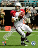 Matt Leinart 2009 Photo