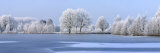 Trees Covered in Hoarfrost Beside Frozen Lake in Winter, Belgium Posters par Philippe Clement