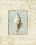 Soothing Words Shells I Kunstdrucke von Lisa Audit