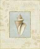 Lisa Audit - Soothing Words Shells III Obrazy Lisa Audit - Soothing Words Shells III Obrazy