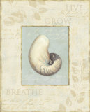 Soothing Words Shells II Posters af Lisa Audit