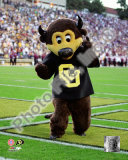 University of Colorado Buffaloes Mascot 2004 Fotografía