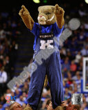 University of Kentucky Wildcats Mascot Fotografía