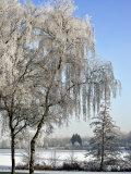 Frozen Pond in Park Landscape with Birch Trees Covered in Hoarfrost, Belgium Photo by Philippe Clement