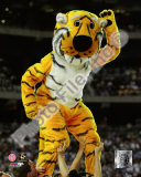 University of Missouri Tigers Mascot 2009 Fotografía