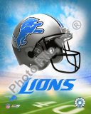 2009 Detroit Lions Team Logo Photo