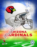 2009 Arizona Cardinals Team Logo Photo