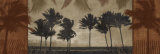 Sunlit Palms II Posters by Harold Silverman Sunlit Palms II Posters by Harold Silverman
