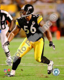 LaMarr Woodley 2009 Photo