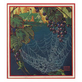 Nature Magazine - View of a Bunch of Grapes with a Spider Web, c.1930 Posters