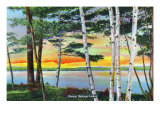 Sebago Lake, Maine - Scenic View Along the Lake with White Birches, c.1949 Poster