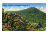 Shenandoah Nat'l Park, Virginia - View of the Highest Peak in the Park, Hawksbill Mt., c.1956 Photo