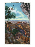 Grand Canyon Nat'l Park, Arizona - Scenic View on the Trail to Bright Point Angel, c.1938 Posters