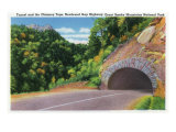 Great Smoky Mts. Nat'l Park, Tn - Newfound Gap Hwy Tunnel and Chimney Tops View, c.1941 Prints