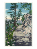 Great Smoky Mts. Nat'l Park, Tn - View of One of Many Trails in the Park, c.1940 Posters
